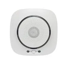 [WSS-S-GL] Moes Gas Sensor AC100-250v US/EU adapter include- WiFi