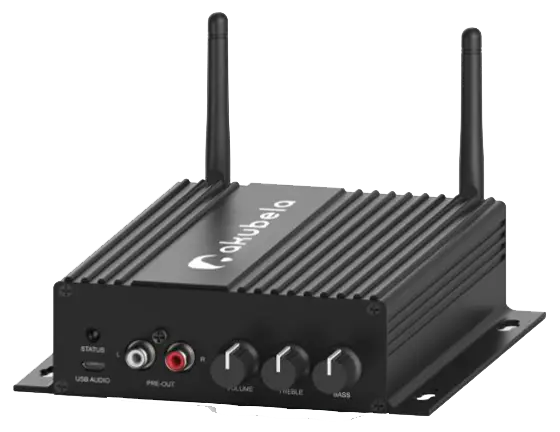 Akubela Amplifier 2.1